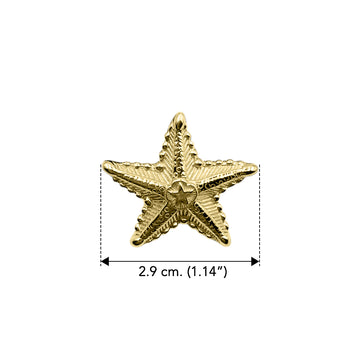 Starfish Sterling Silver with 14K Vermeil Plate Pendant by DiveSilver VPD6230